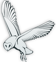 Gay Males Chatting Page